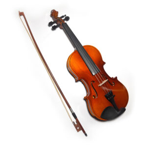 Violino Blackwood 4/4