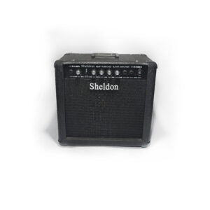Amplificador Sheldon GT4200