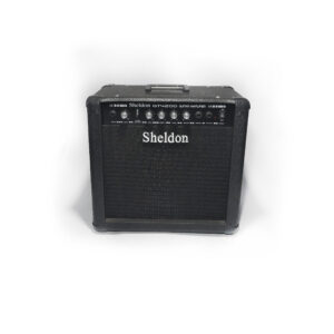 Amplificador Sheldon GT4200