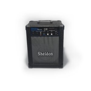 Amplificador Sheldon Max 1000 USB