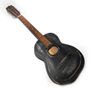 Viola Caipira Giannini Acústico Veterano de Guerra (Seminovo)