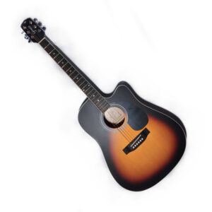 Violão Giannini Performance Folk  Eletroacústico C/ Afinador